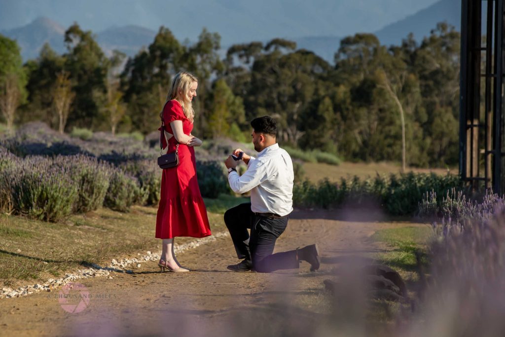 engagement photos