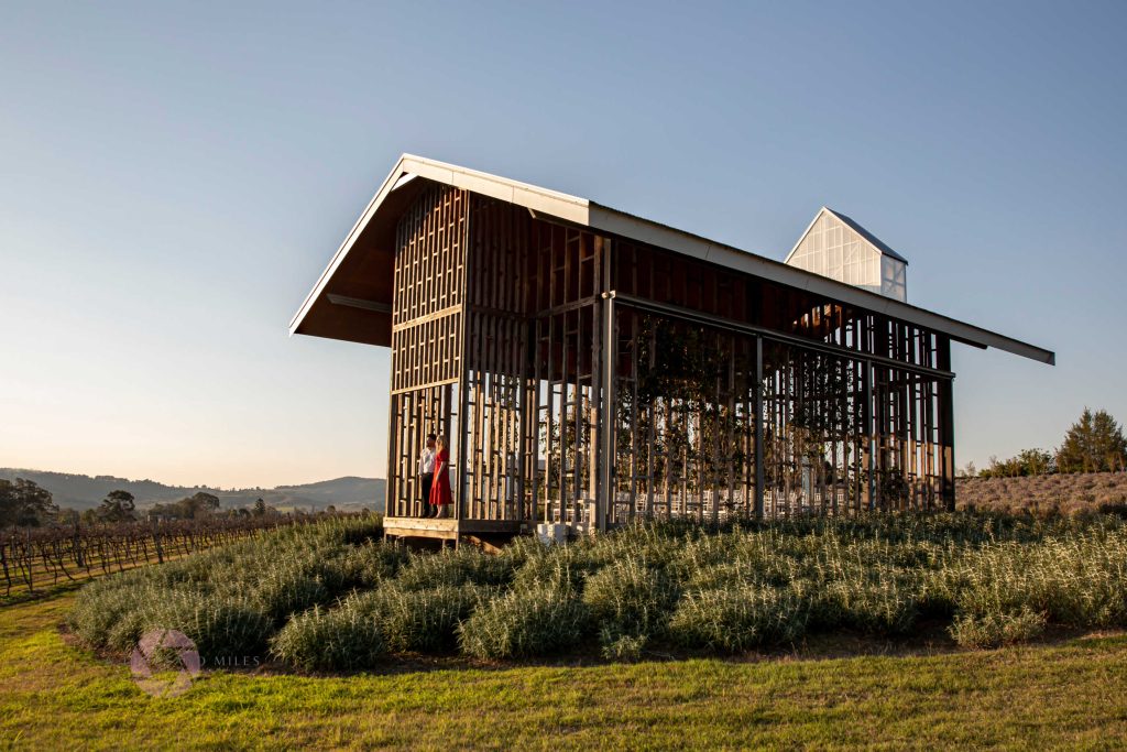 kooroomba lavender fields wedding photography