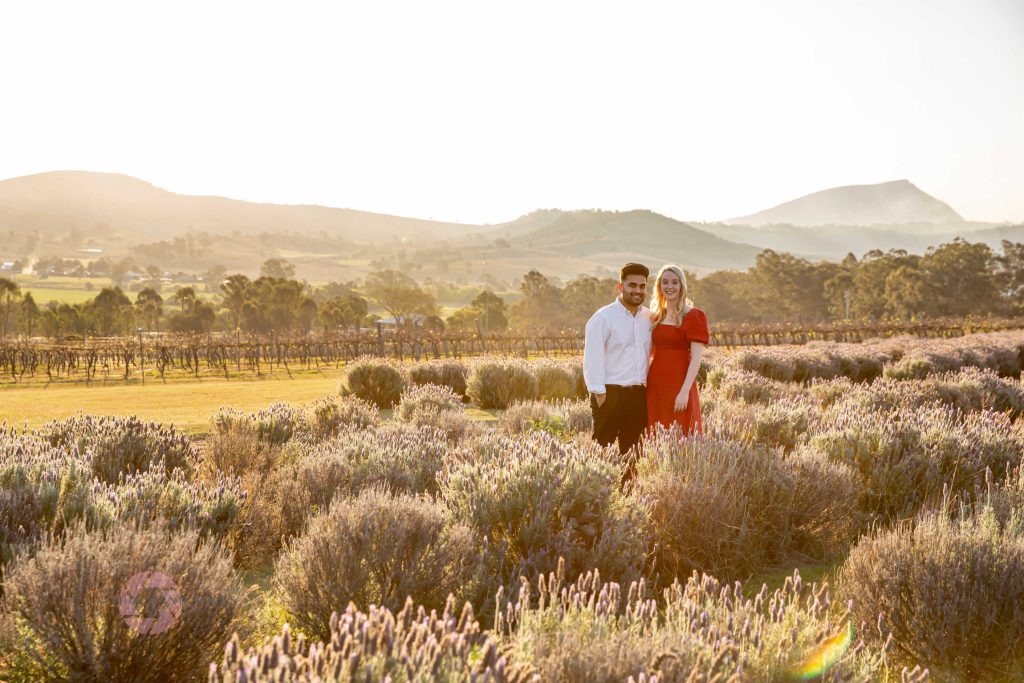 kooroomba lavender fields engagement shoot